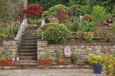 Maintain the Longevity and Beauty of a Stone Wall!